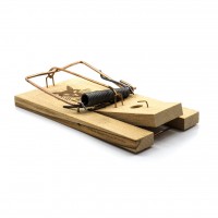 Houten rattenval