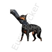 Handschoen met onderarm bescherming