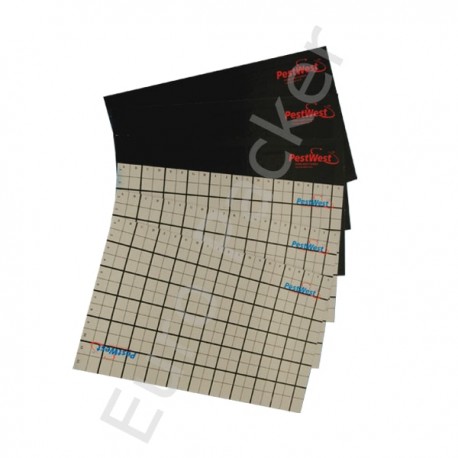 Lijmplaat à 6 stuks voor PestWest vliegenvanger