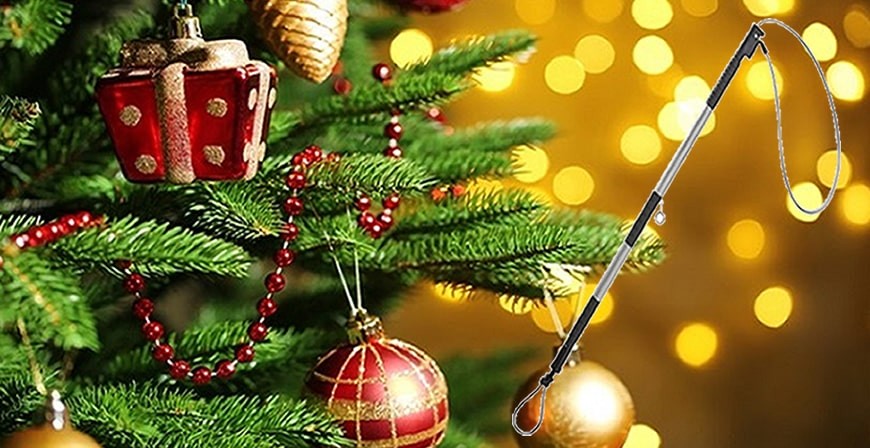 (Wilde) dieren vangen