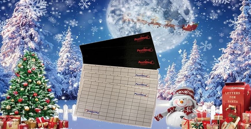 Lijmplaat voor vliegenlampen